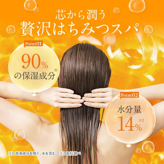 & honey Deep Moist Shampoo & Treatment set