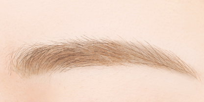 CANMAKE Fit Styler Eyebrow 01 (Natural Brown)