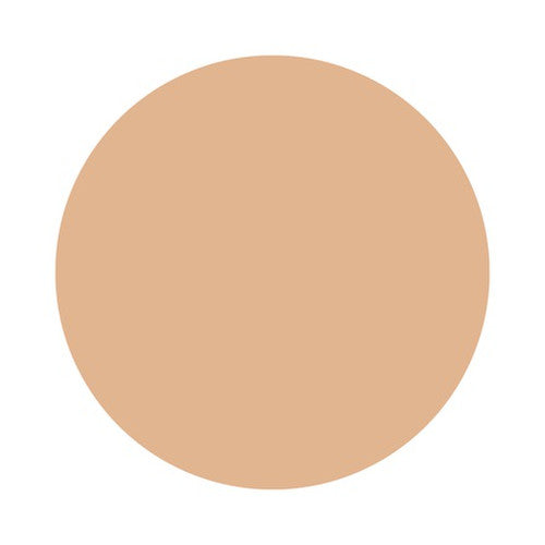 KANEBO Media Cream Foundation OC-E1 SPF17・PA++